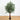 4' Ruscus Silk Tree