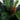 4' Artificial Sago Palm Tree