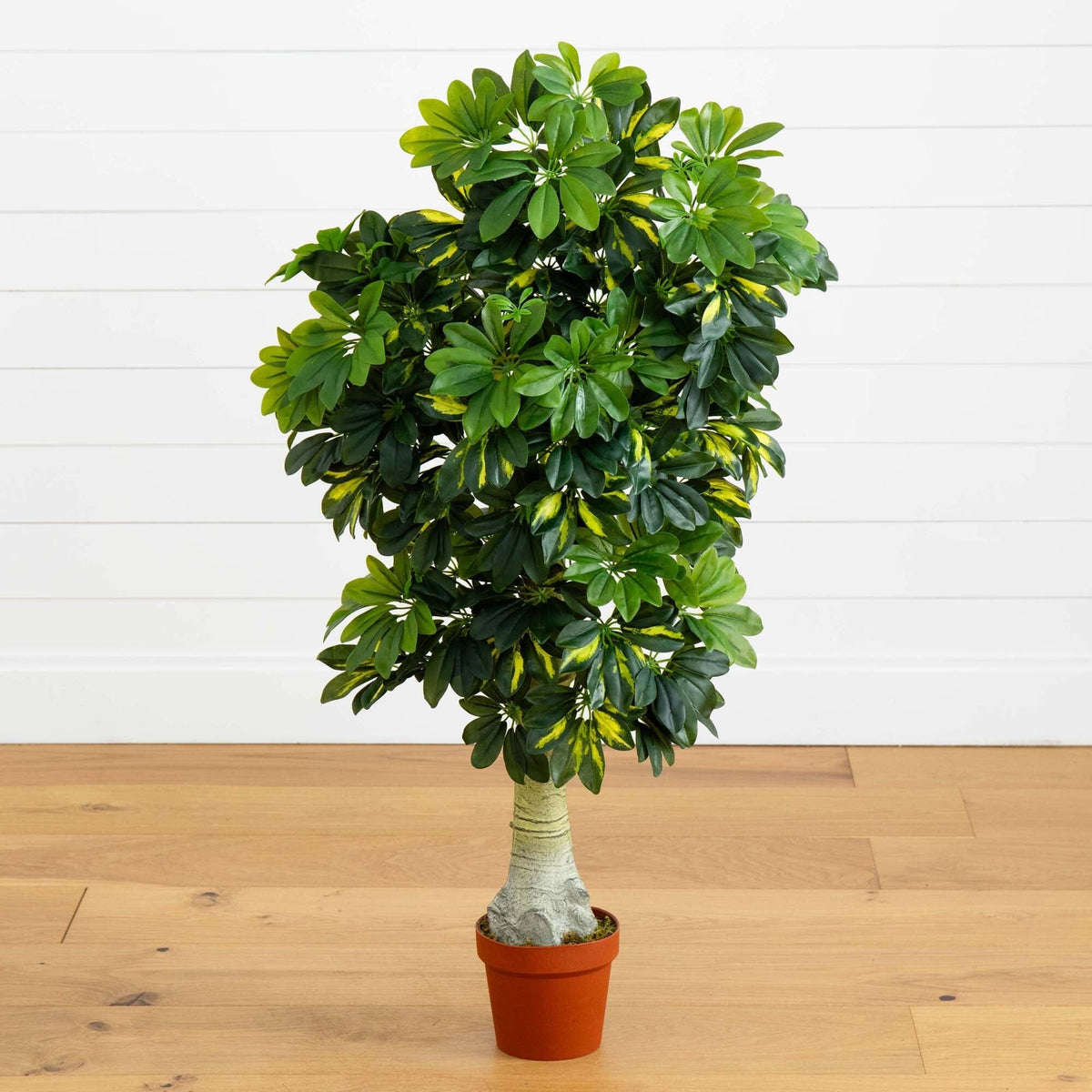 Nearly Natural 4' Schefflera Silk Tree Real Touch