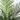 4' UV Resistant Artificial Areca Palm Tree (Indoor/Outdoor)