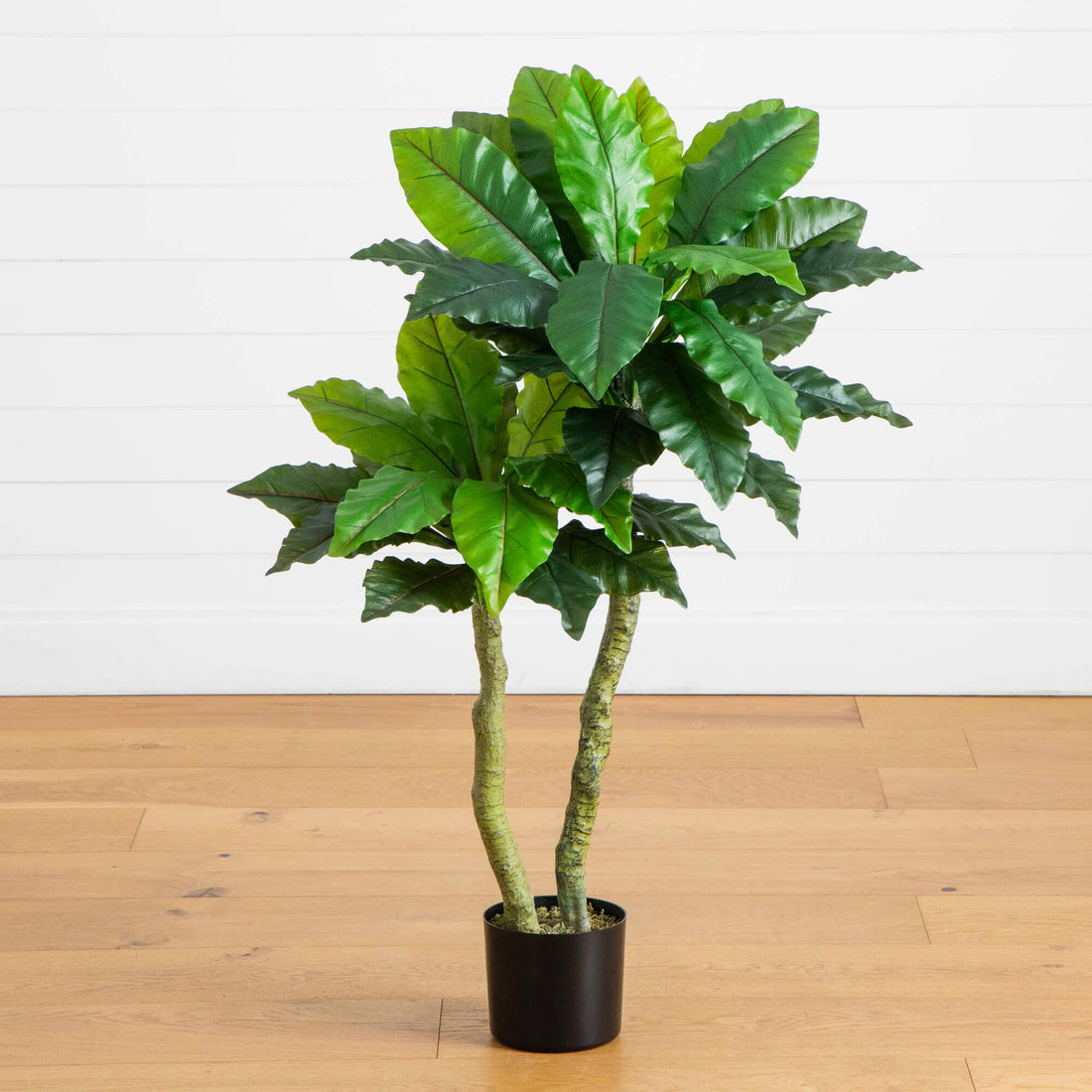 bird nest fern outdoors 4' UV Resistant Artificial Bird Nest Fern Tree (Indoor/Outdoor)