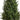 4’ UV Resistant Artificial Boxwood Topiary Tree (Indoor/Outdoor)