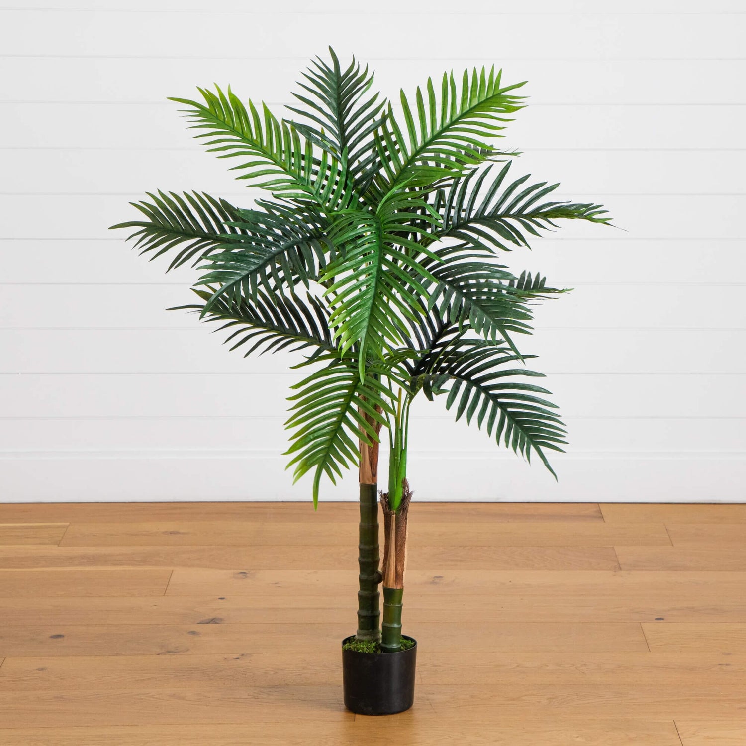 4' UV Resistant Artificial Double Robellini Palm Tree (Indoor/Outdoor)