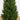 4' UV Resistant Artificial Rosemary Cone Topiary Tree (Indoor/Outdoor)