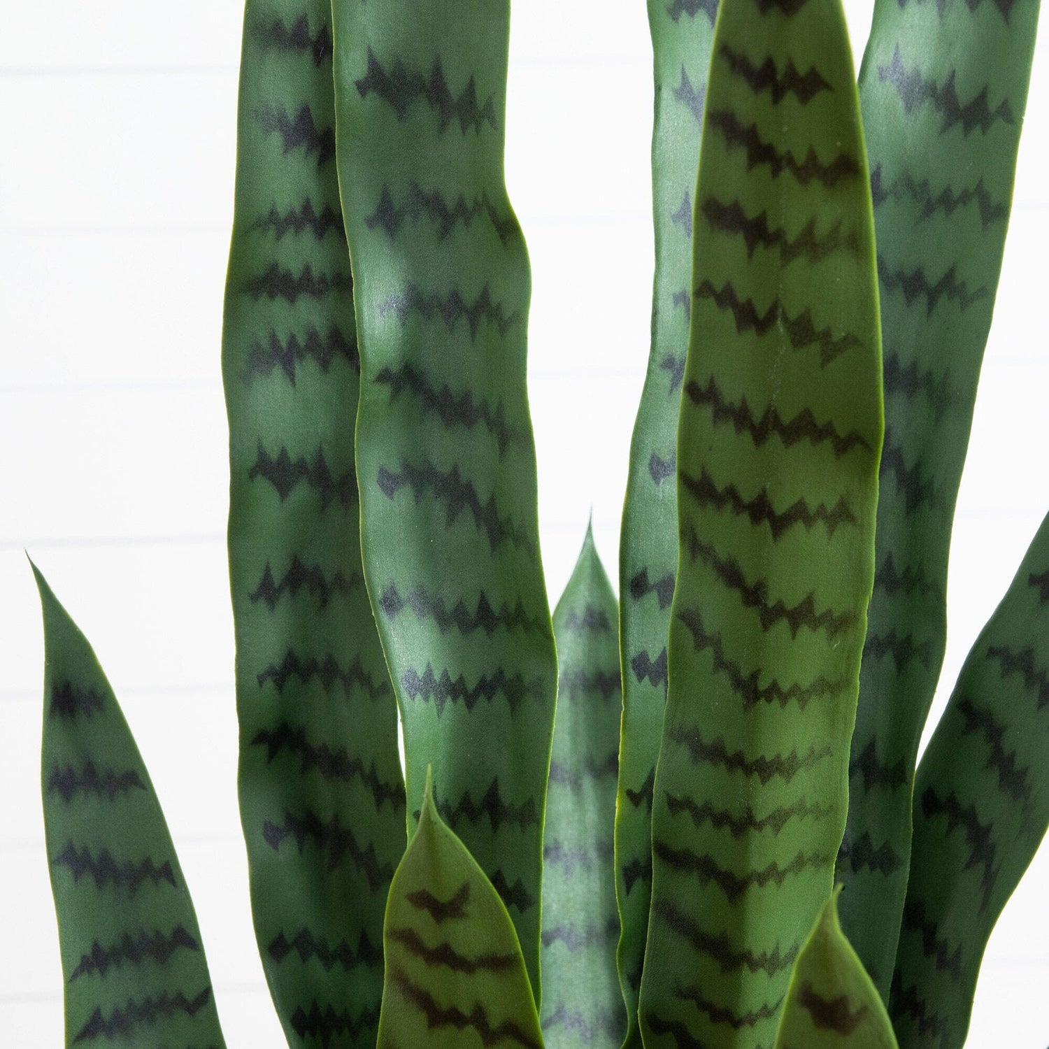 artificial snake plant nz 4’ UV Resistant Artificial Sansevieria Plant in White Decorative Planter (Indoor/Outdoor)