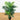 40” Areca Artificial Palm Tree UV Resistant (Indoor/Outdoor)