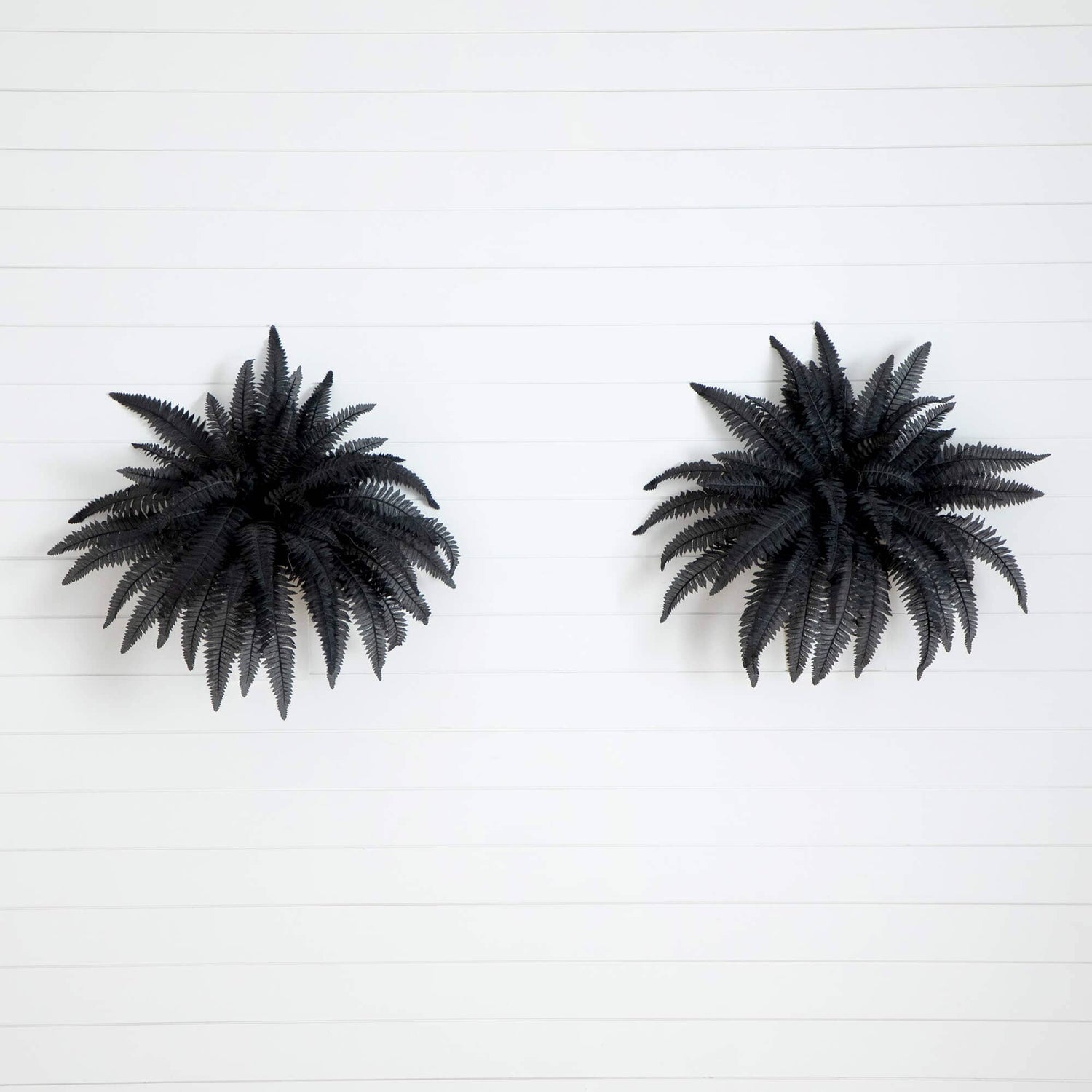 40" Artificial Halloween Black Boston Fern - Set of 2