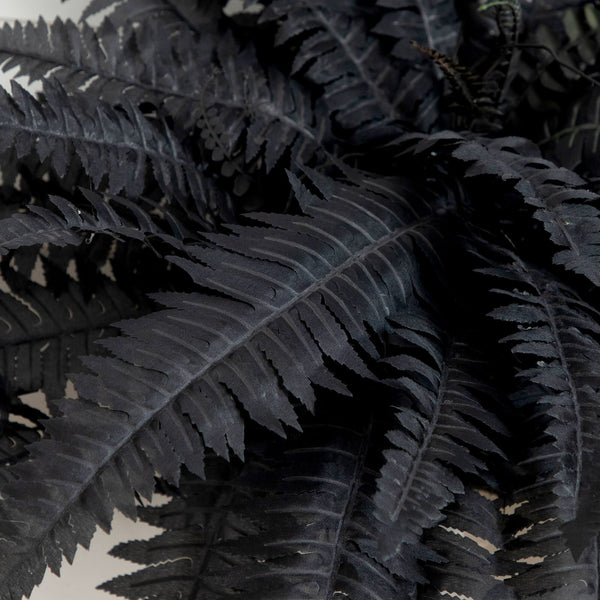 40" Artificial Halloween Black Boston Fern - Set of 2
