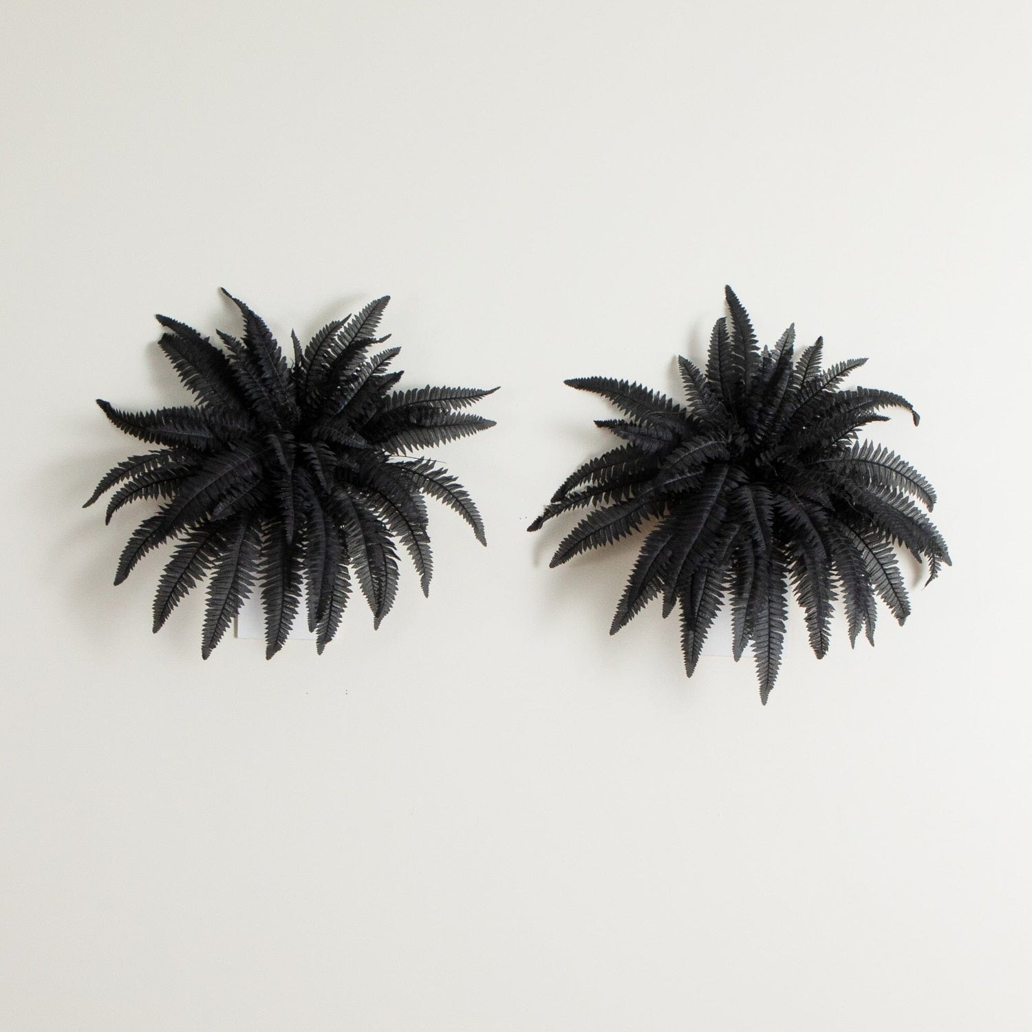 40" Artificial Halloween Black Boston Fern - Set of 2