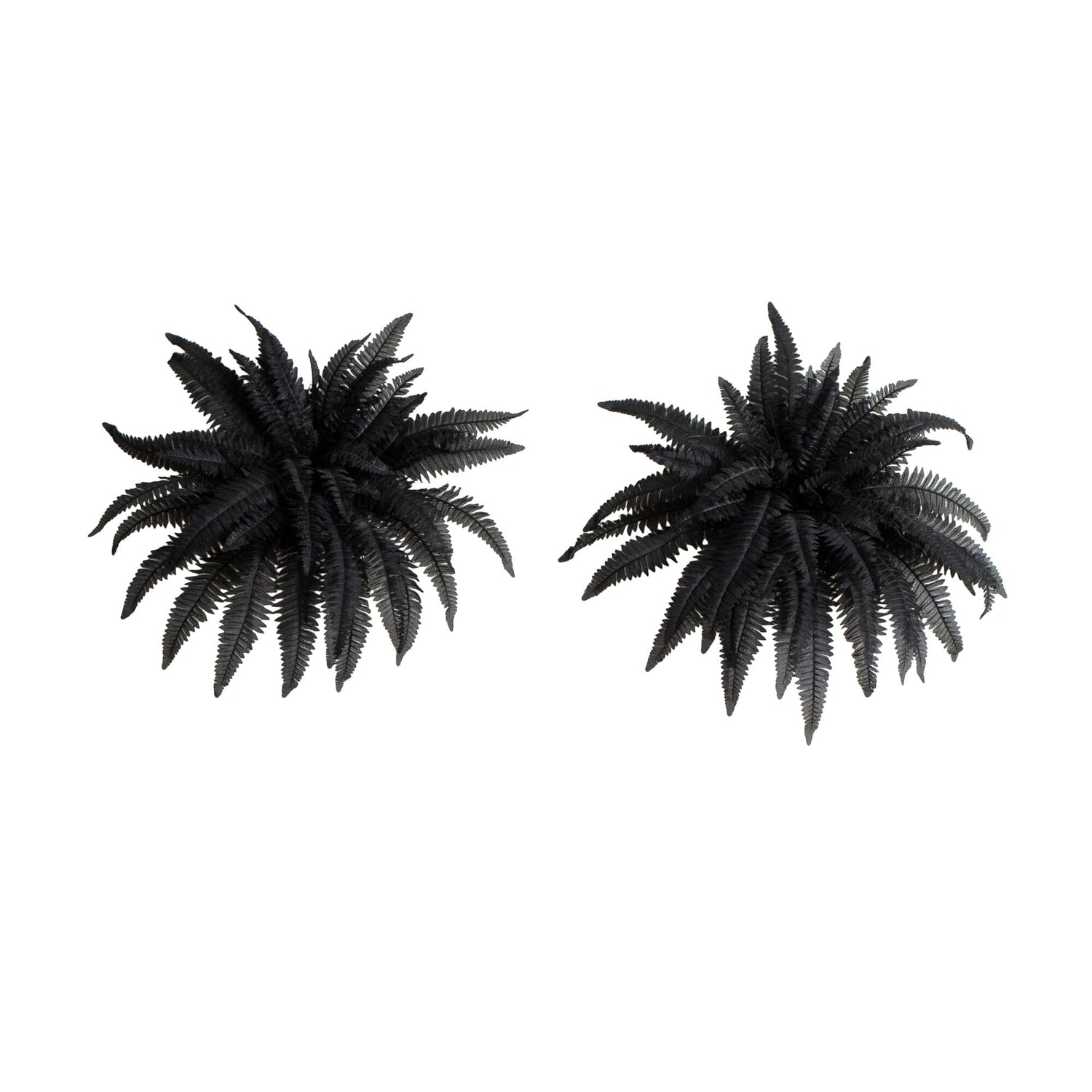 40" Artificial Halloween Black Boston Fern - Set of 2