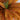 40" Autumn Artificial Fall Boston Fern - Set of 2