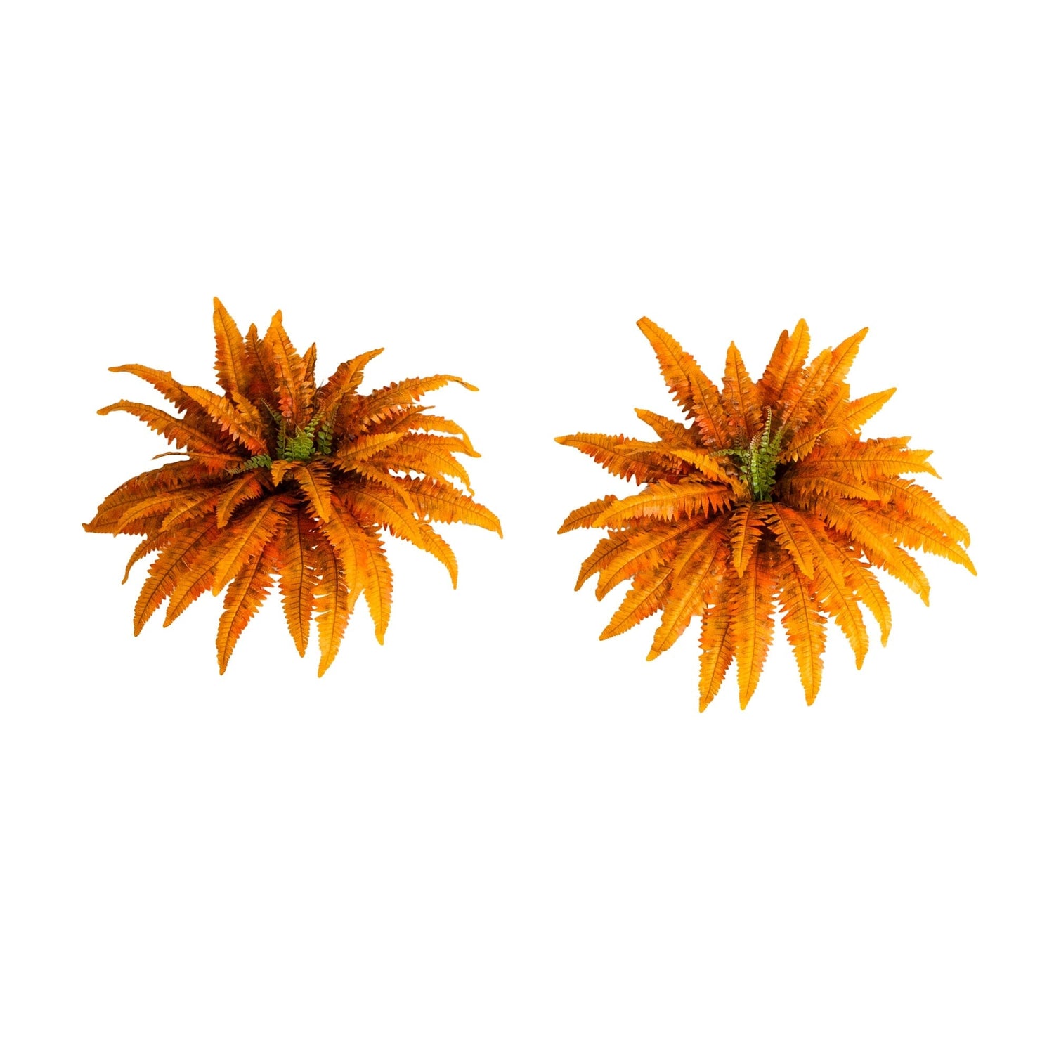 40" Autumn Artificial Fall Boston Fern - Set of 2