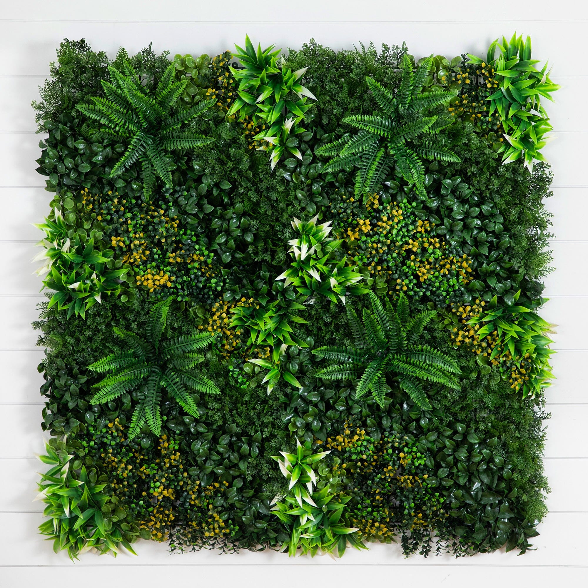 グリーンルーム ブレイクウォール 40” x 40” UV Resistant Hawaiian Islands Artificial Living Wall
