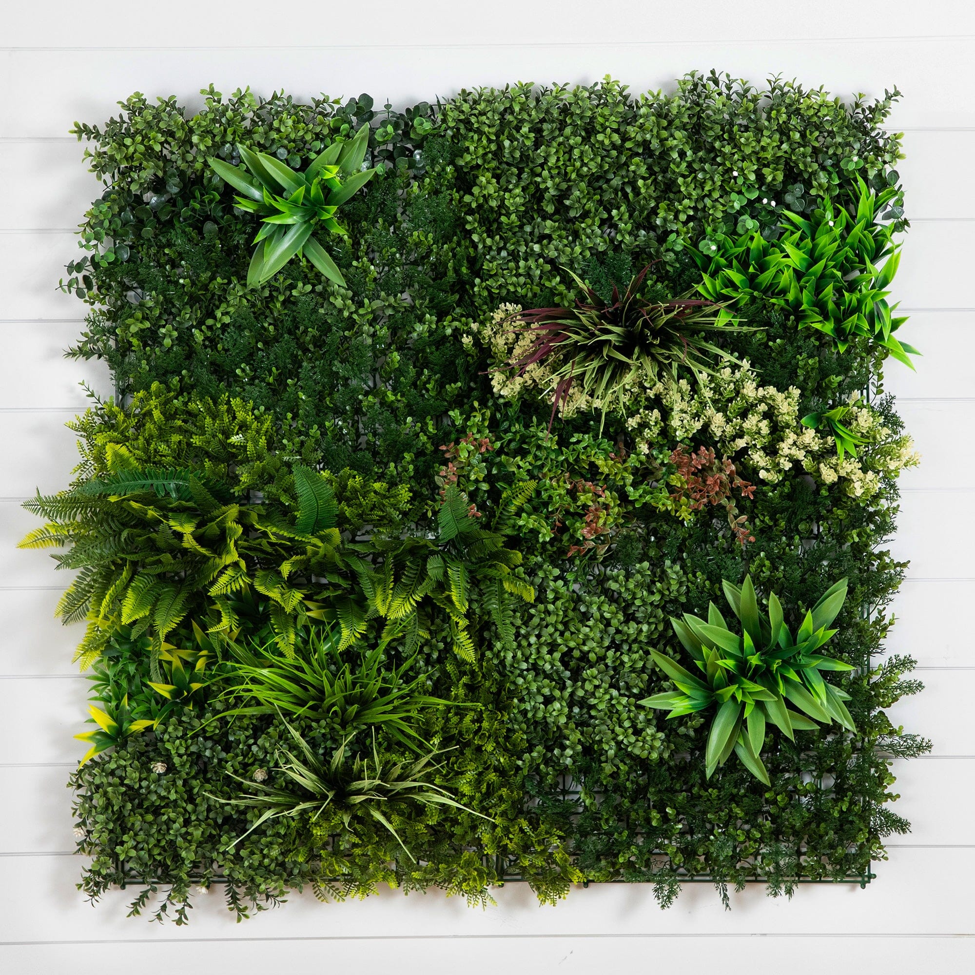 アクタスファズル タンス 40” x 40” UV Resistant Madagascar Forest Artificial Living Wall