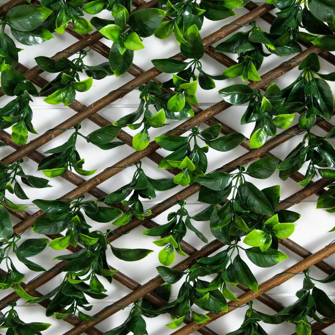 plastic plant fence 40” x 80” UV Resistant Artificial Gardenia Expandable Privacy Fence Screen (Indoor/Outdoor)