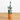 41” Artificial Cactus in Terracotta Planter