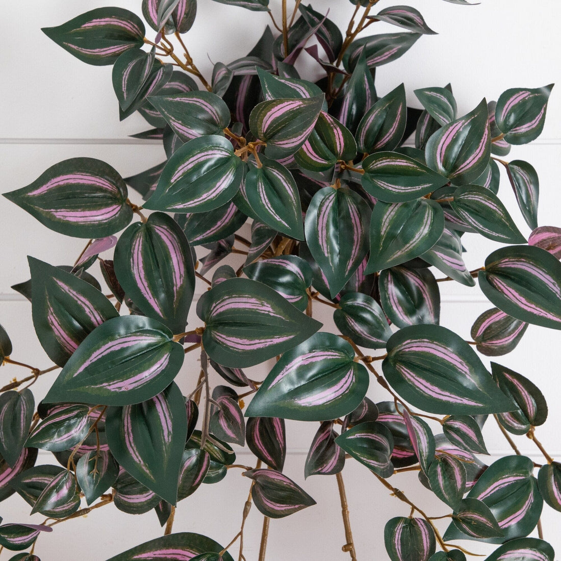 hanging plant with green and pink leaves 41" UV Resistant Artificial Wandering Jew Hanging Plant (Indoor/Outdoo –  Nearly Natural