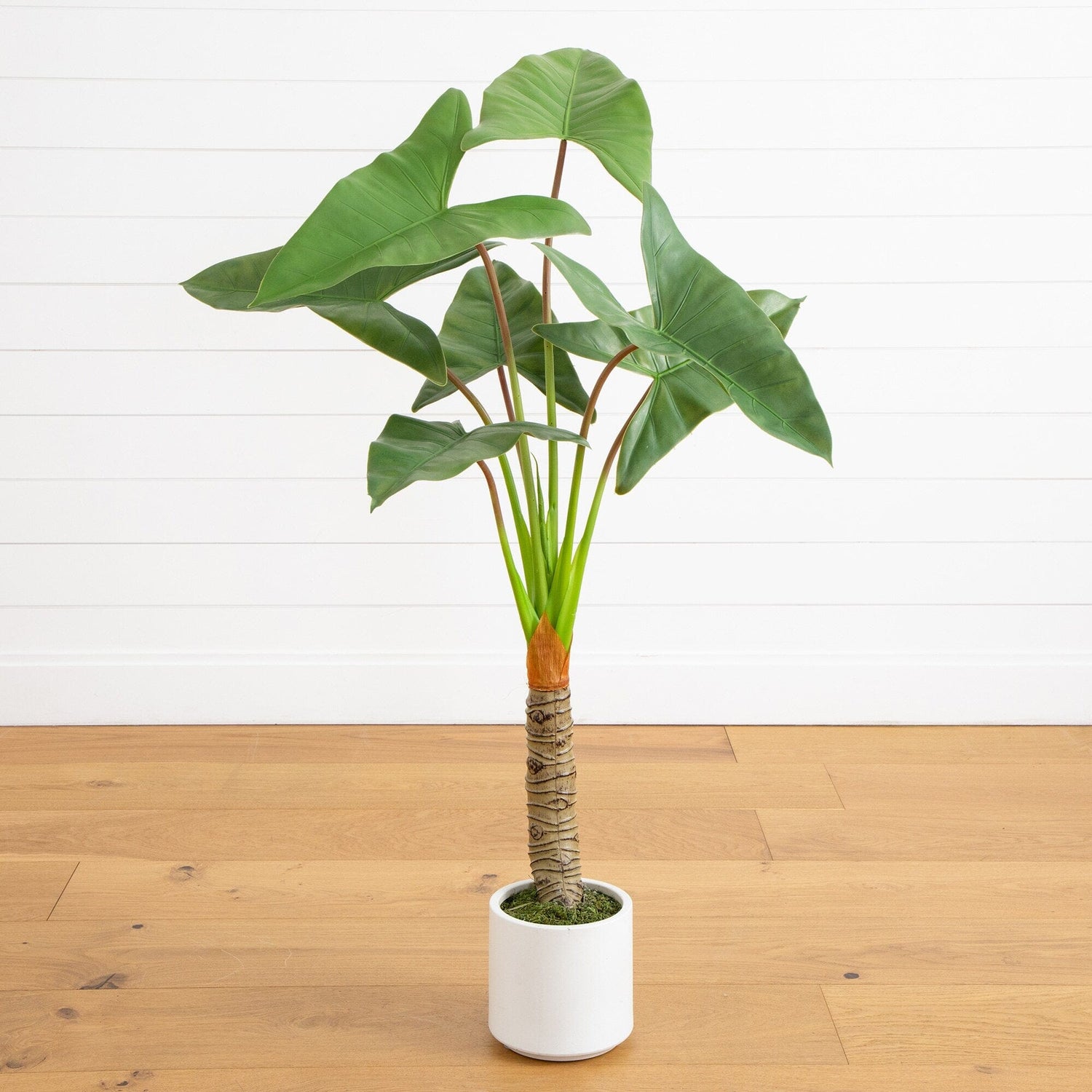 alleopathic plants philodendron 4.5' Artificial Arrowhead Philodendron in White Decorative Planter