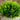 4.5" Artificial Grass Plant in Cement Planter - Set of 2