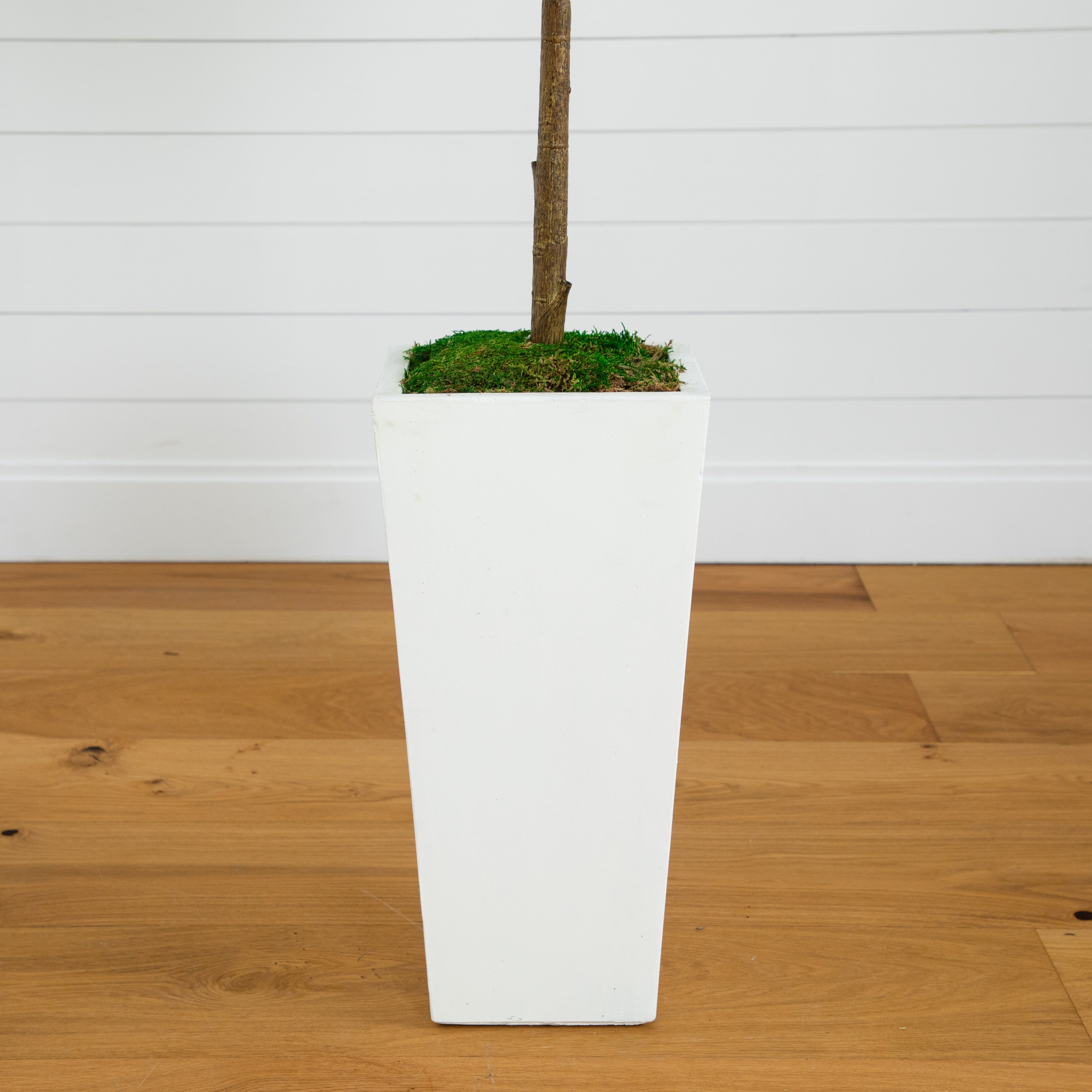 4.5' Fiddle Leaf Fig in White Planter (Real Touch) | Nearly Natural