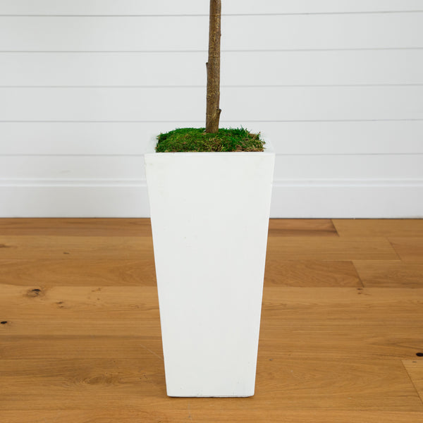 4.5’ Fiddle Leaf Fig Tree in White Planter (Real Touch)
