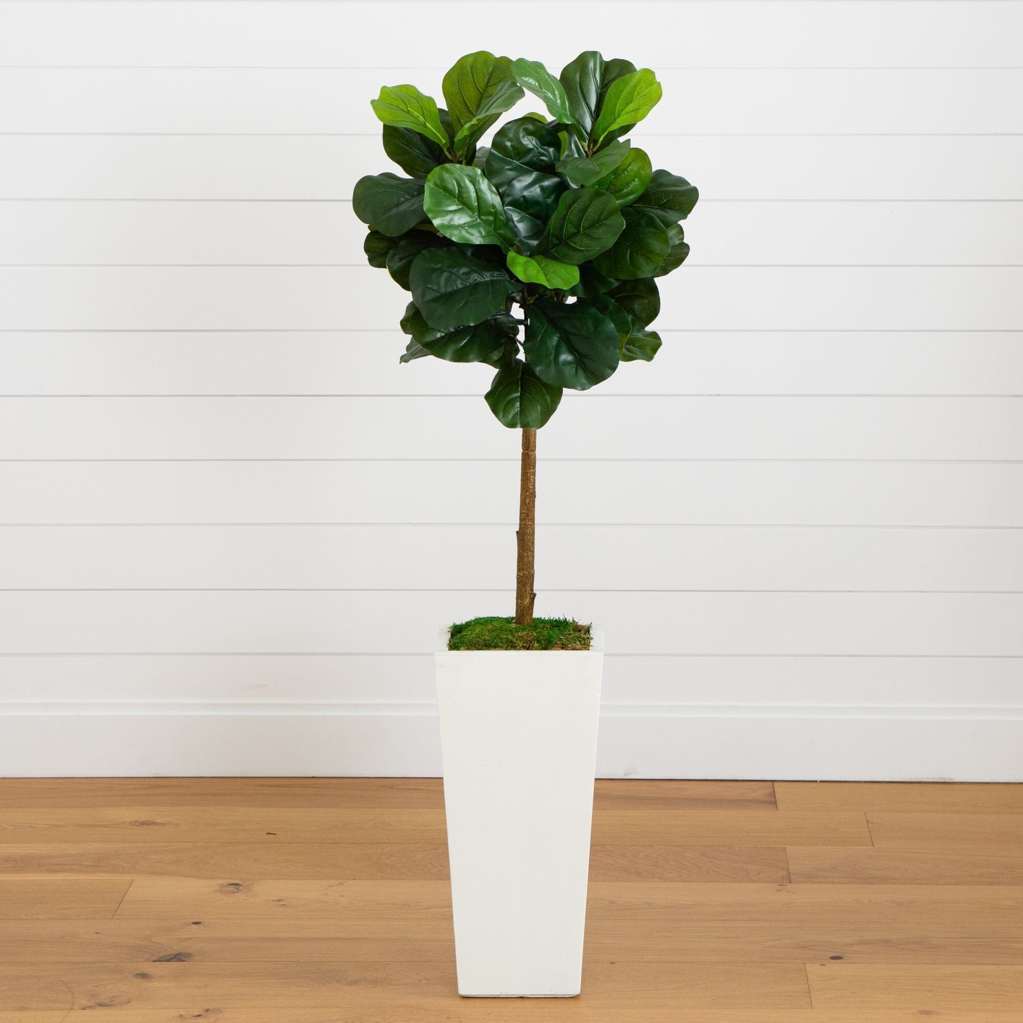 4.5' Fiddle Leaf Fig in White Planter (Real Touch) | Nearly Natural