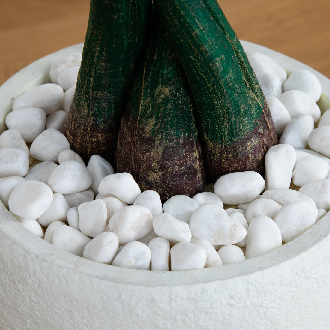 artificial money tree small Nearly Natural 5 ft. Real Touch Artificial Money Tree in White Oval Planter