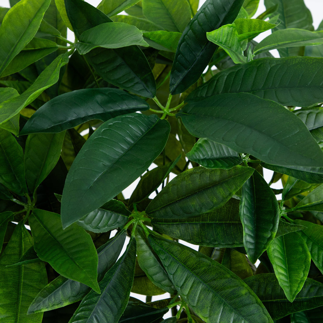 white money tree Nearly Natural 5 ft. Real Touch Artificial Money Tree in White Oval Planter