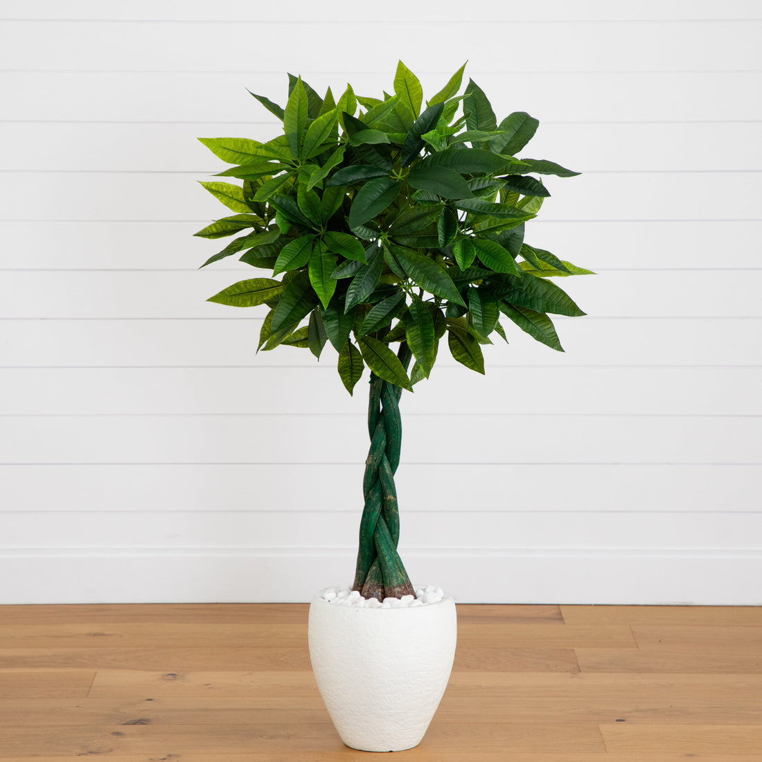 home depot money tree Nearly Natural 5 ft. Real Touch Artificial Money Tree in White Oval Planter