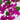 47" Artificial Bougainvillea Stems - Set of 3