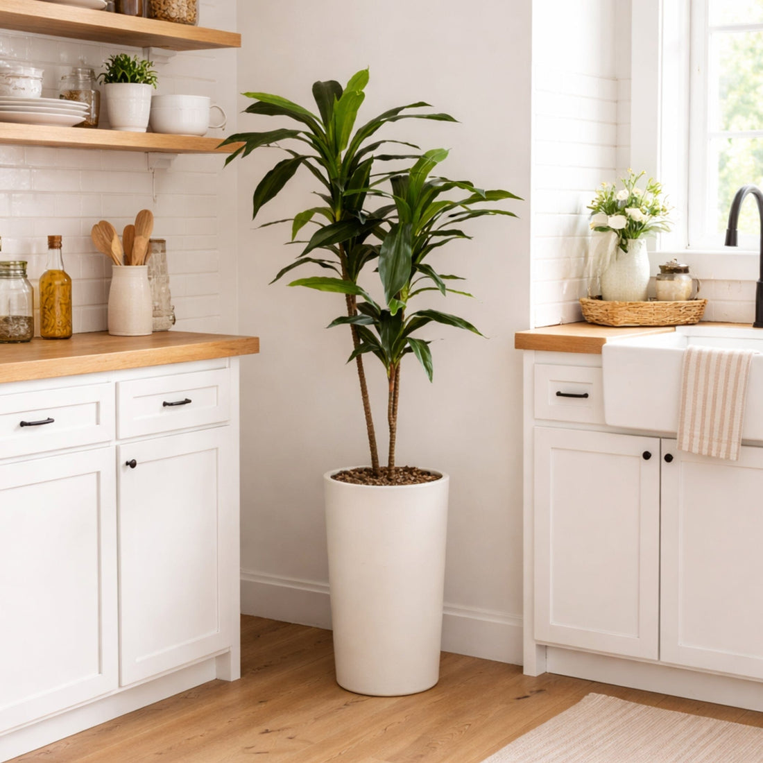 dracaena floor plant 48" Dracaena Silk Plant (Real Touch)