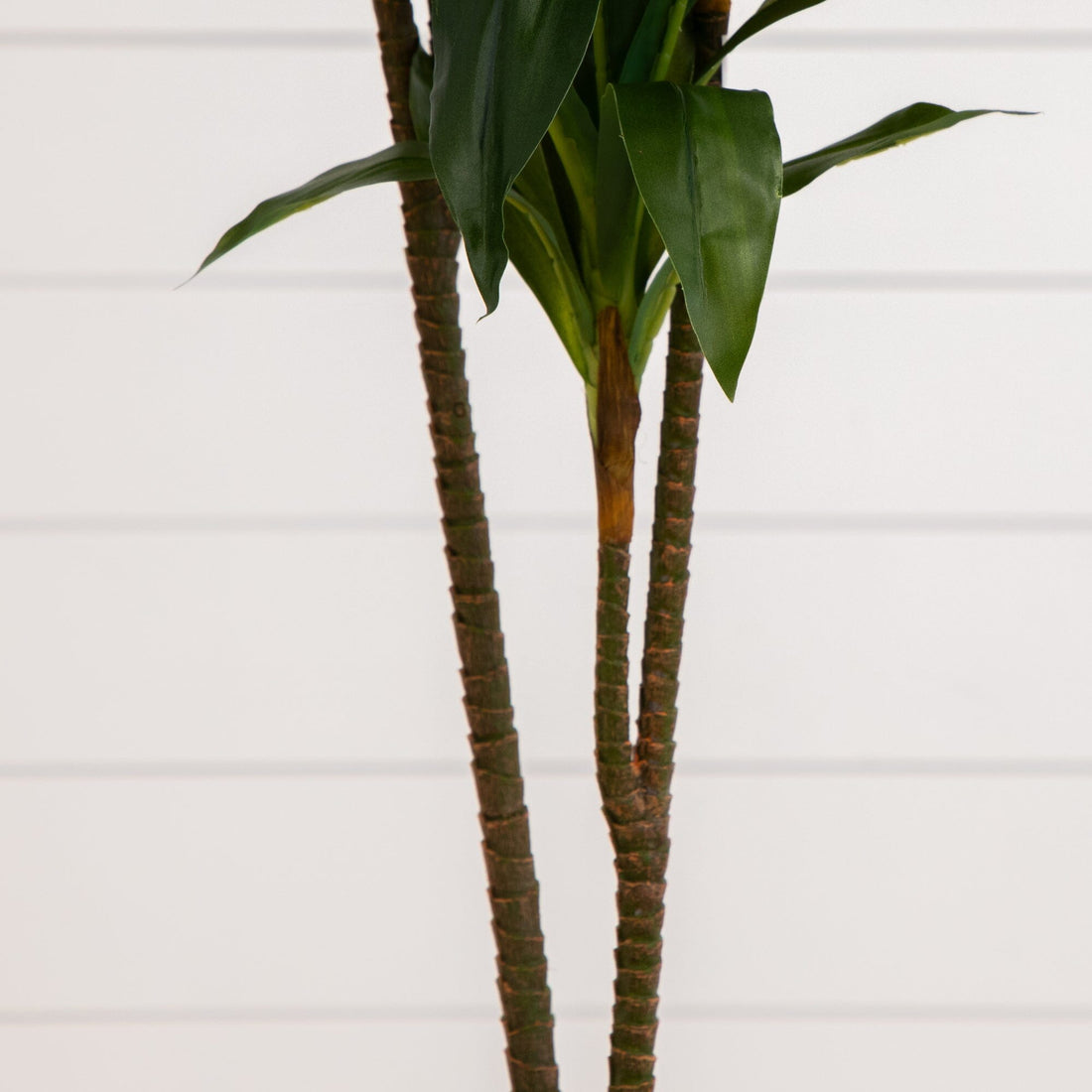 dracaena del dr simi Nearly Natural 48in Dracaena Silk Plant (Real Touch)