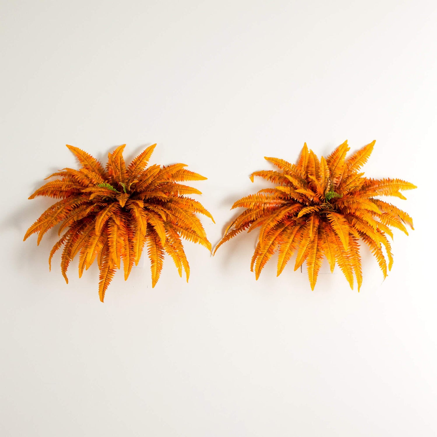 48" Autumn Artificial Fall Boston Fern - Set of 2