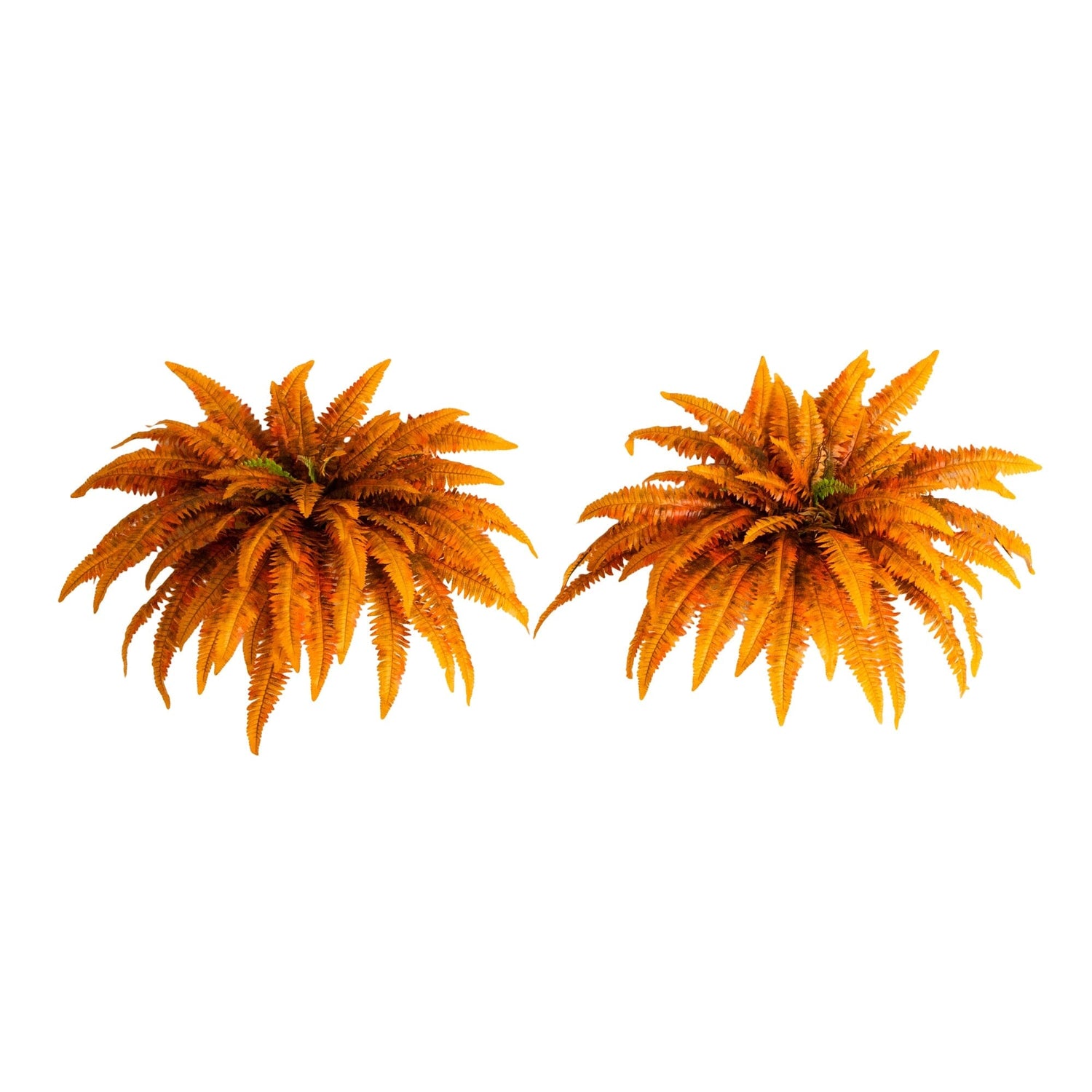 48" Autumn Artificial Fall Boston Fern - Set of 2