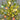 4' Pre-Lit Artificial Easter Egg Twig Tree with Greens and 48 Warm White LED Lights