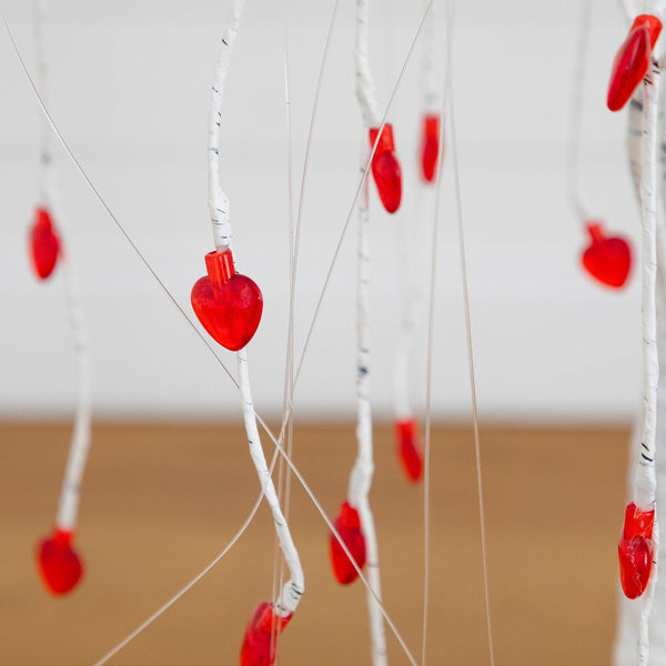 4' Pre-Lit Artificial Valentine's Day Willow Tree with 48 Heart Shaped LED Lights