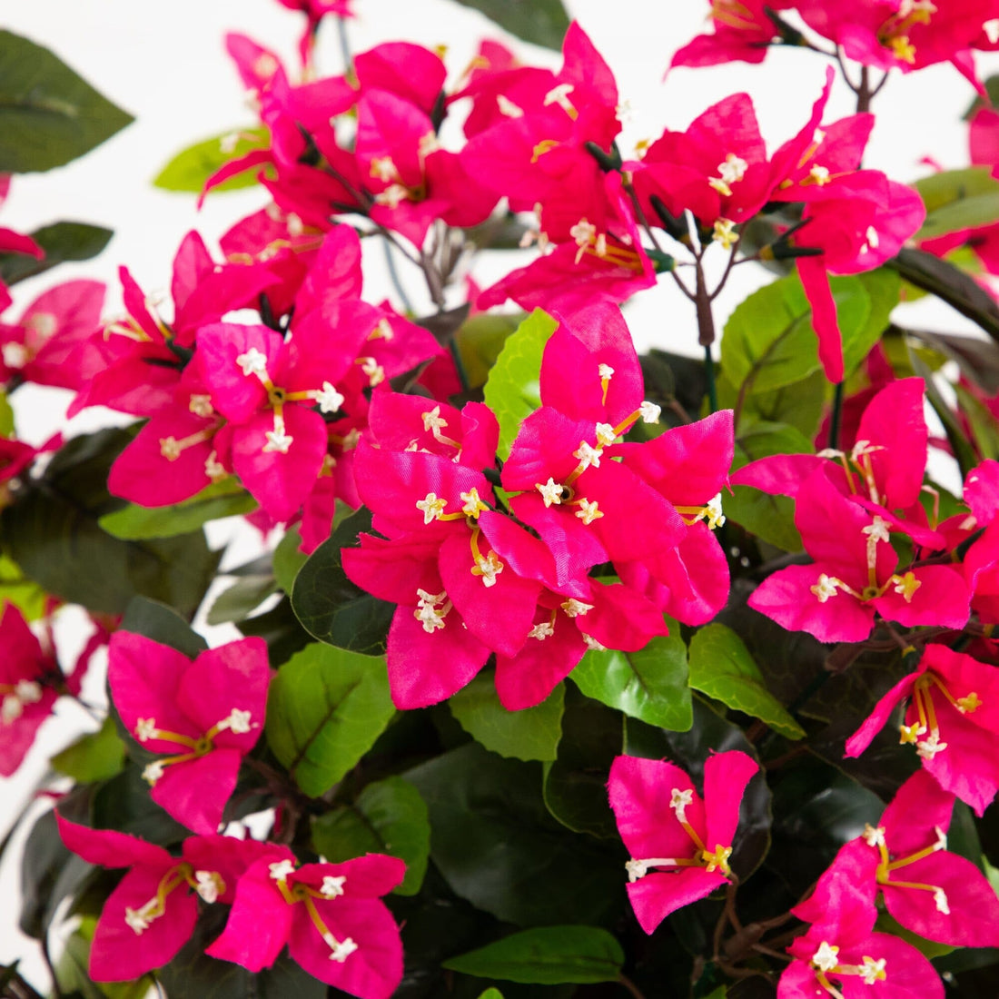 bougainvillea plant indoor or outdoor 4' UV Resistant Artificial Spiral Bougainvillea Tree (Indoor/Outdoor)