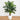 5’ Areca Palm Artificial Tree in White Planter (Real Touch)