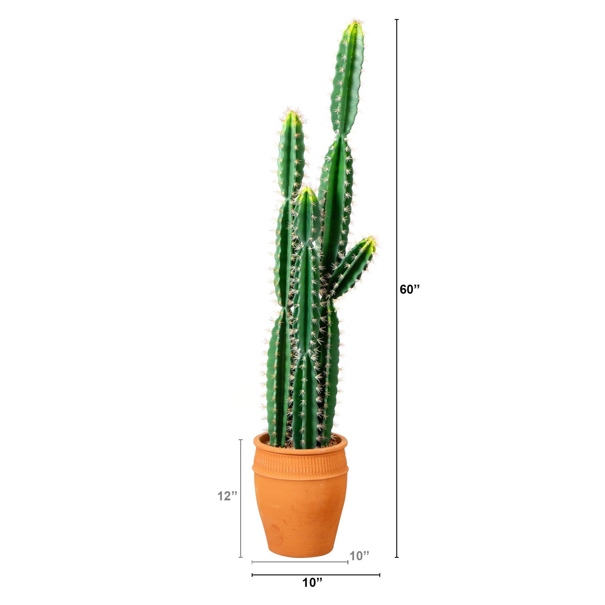 5' Artificial Cactus in Terracotta Planter | Nearly Natural