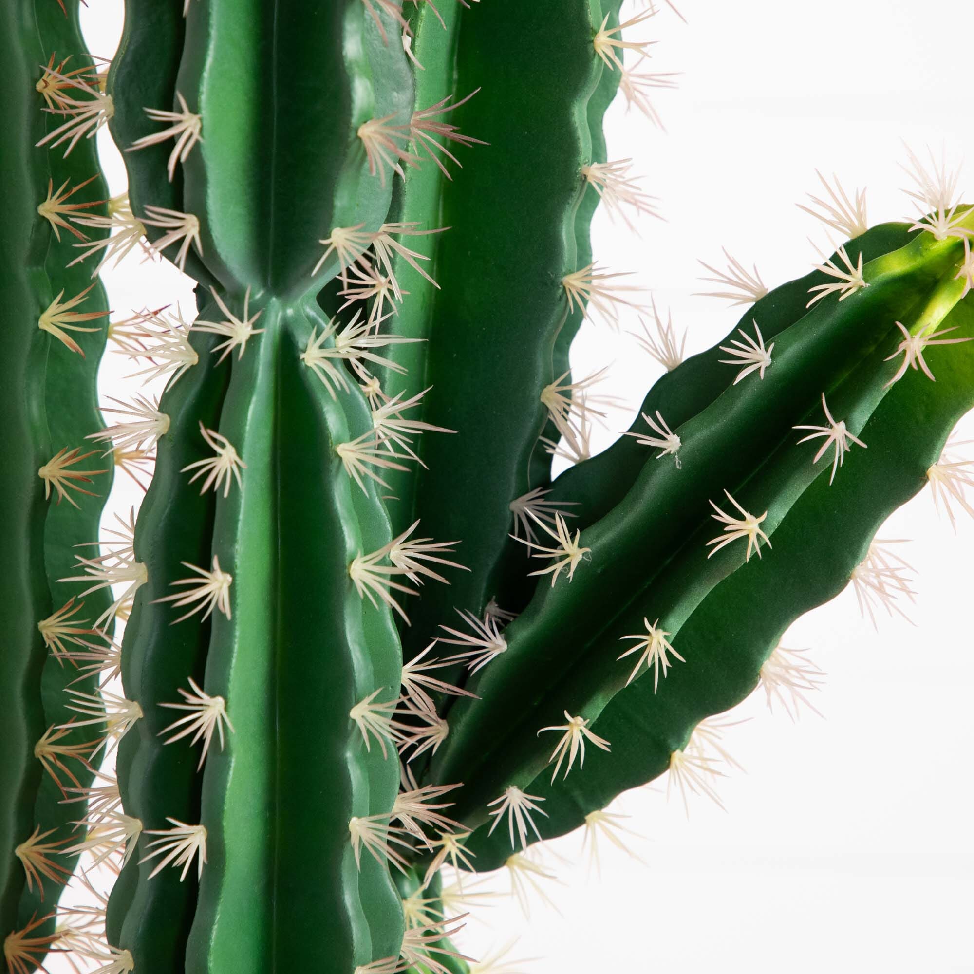 5' Artificial Cactus in Terracotta Planter | Nearly Natural