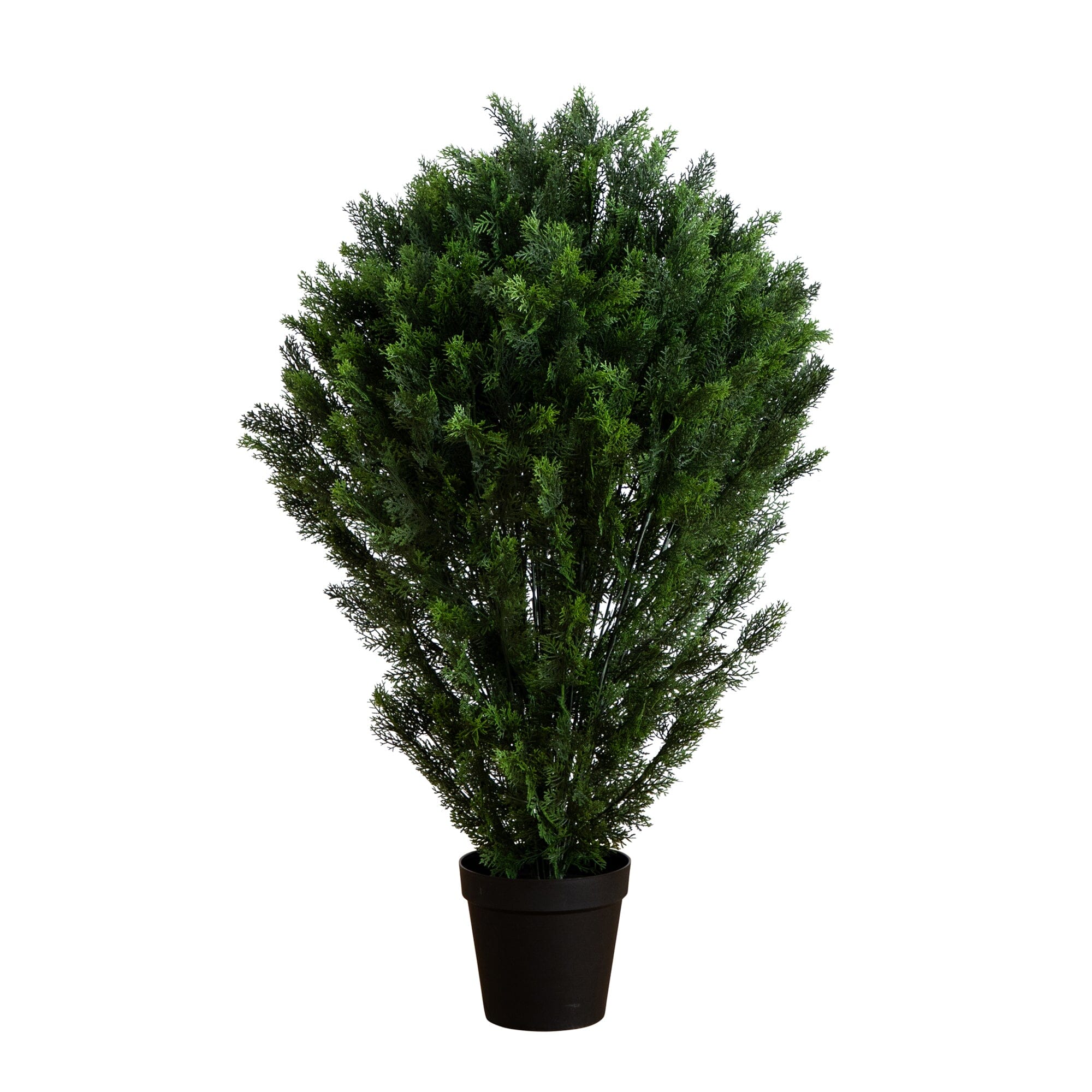 EVERGREEN 486 UPGRADE 未開封 動作未確認 5' Artificial Cedar Bush UV Resistant (Indoor/Outdoor) | Nearly