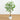 5’ Artificial Enkianthus Tree in White Decorative Planter