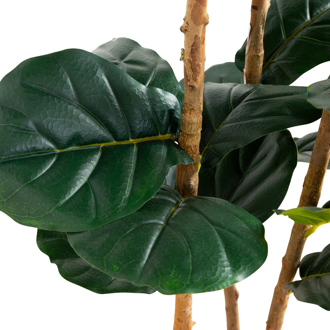 5' Artificial Fiddle Leaf Tree in Decorative White Planter