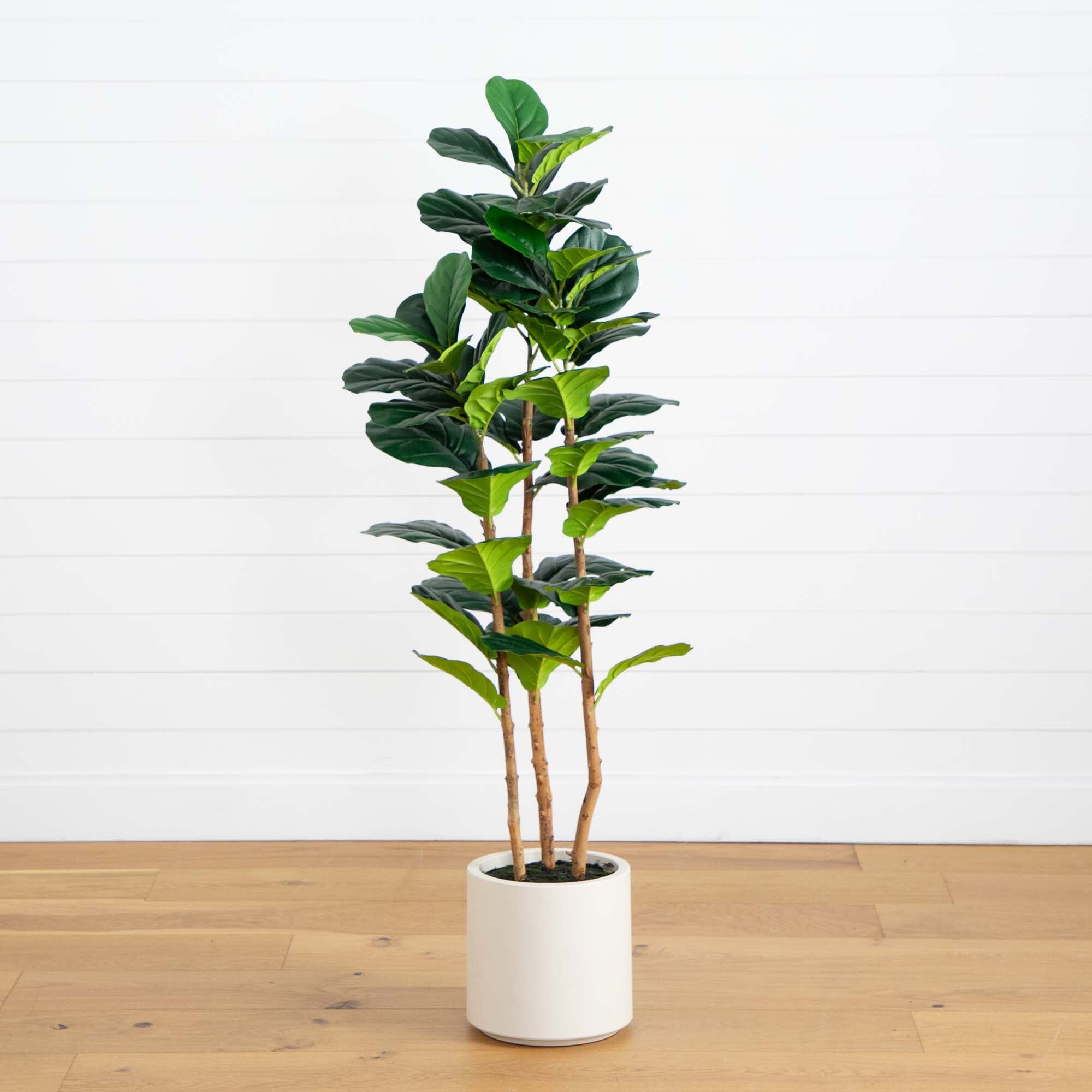 5' Artificial Fiddle Leaf Tree in Decorative White Planter