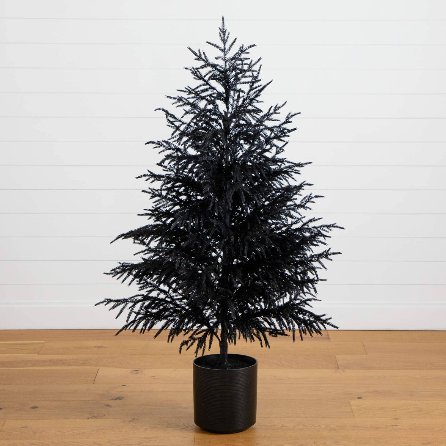 5' Artificial Halloween Real Touch Black Norfolk Pine Christmas Tree with Natural Look