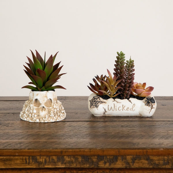 5” Artificial Halloween Succulent Garden in Haunted Planter - Set of 2