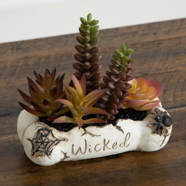 5” Artificial Halloween Succulent Garden in Haunted Planter - Set of 2