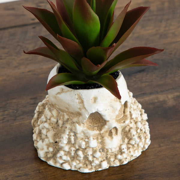 5” Artificial Halloween Succulent Garden in Haunted Planter - Set of 2