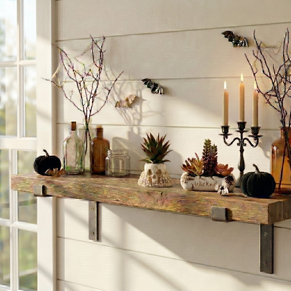 5” Artificial Halloween Succulent Garden in Haunted Planter - Set of 2