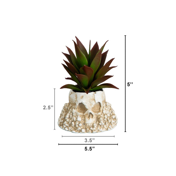 5” Artificial Halloween Succulent Garden in Haunted Planter - Set of 2